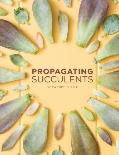 Cover of the book Propagating Succulents by Cassidy Tuttle, Cassidy Tuttle