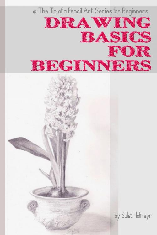 Cover of the book Drawing Basics for Beginners by Sulet Hofmeyr, Sulet Hofmeyr