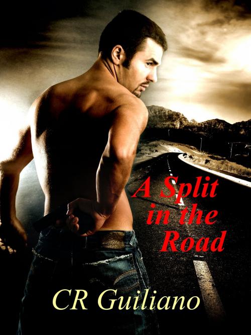 Cover of the book A Split in the Road, Book 3 of Vampire Wars by CR Guiliano, CR Guiliano