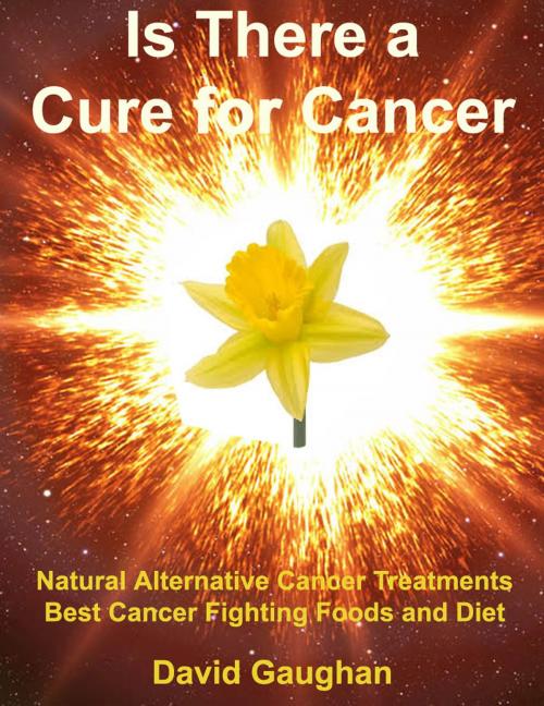 Cover of the book Is There a Cure for Cancer: Natural Alternative Cancer Treatments, Best Cancer Fighting Foods and Diet by David Gaughan, David Gaughan