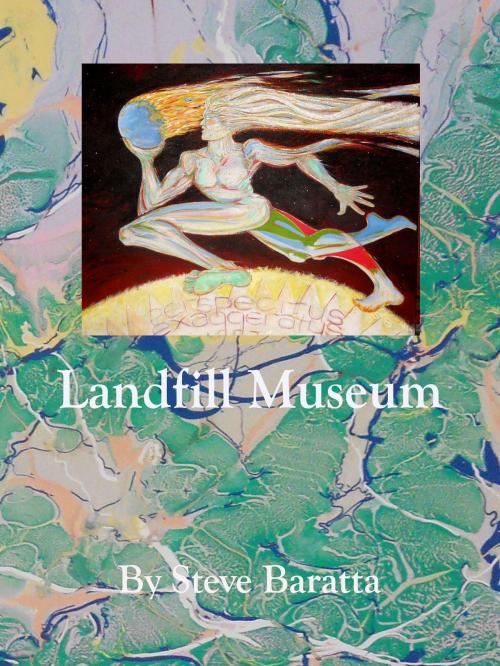 Cover of the book Landfill Museum by Steve Baratta, Steve Baratta