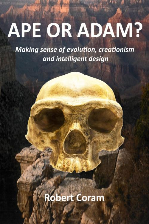 Cover of the book Ape or Adam?: Making sense of evolution, creationism and intelligent design by Robert Coram, Robert Coram