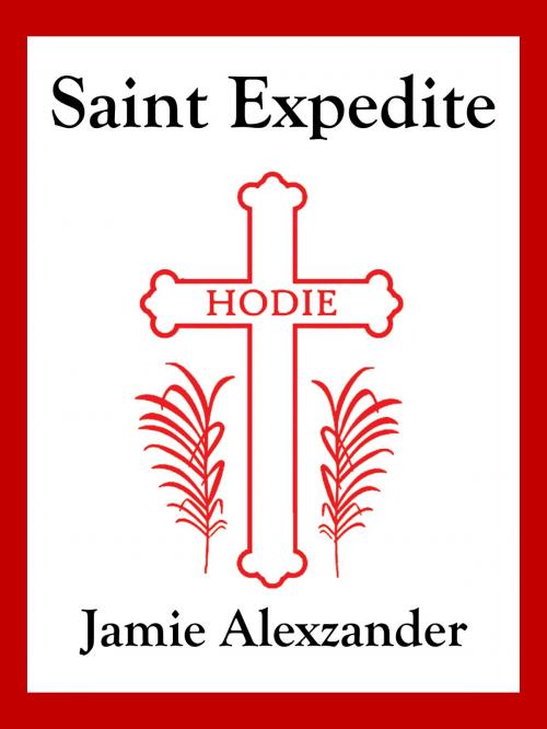 Cover of the book Saint Expedite by Jamie Alexzander, Hadean