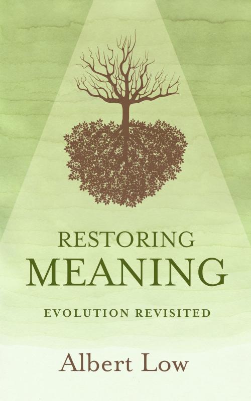 Cover of the book Restoring Meaning: Evolution Revisited by Albert Low, Albert Low