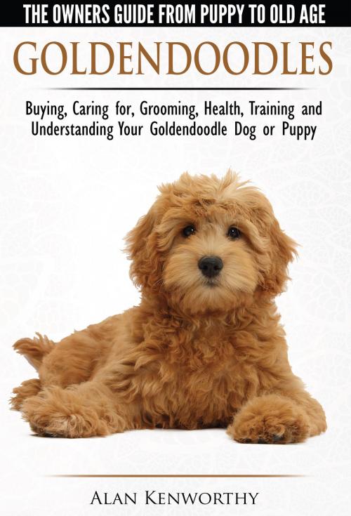 Cover of the book Goldendoodle: The Owners Guide from Puppy to Old Age - Choosing, Caring for, Grooming, Health, Training and Understanding Your Goldendoodle Dog by Alan Kenworthy, Alan Kenworthy