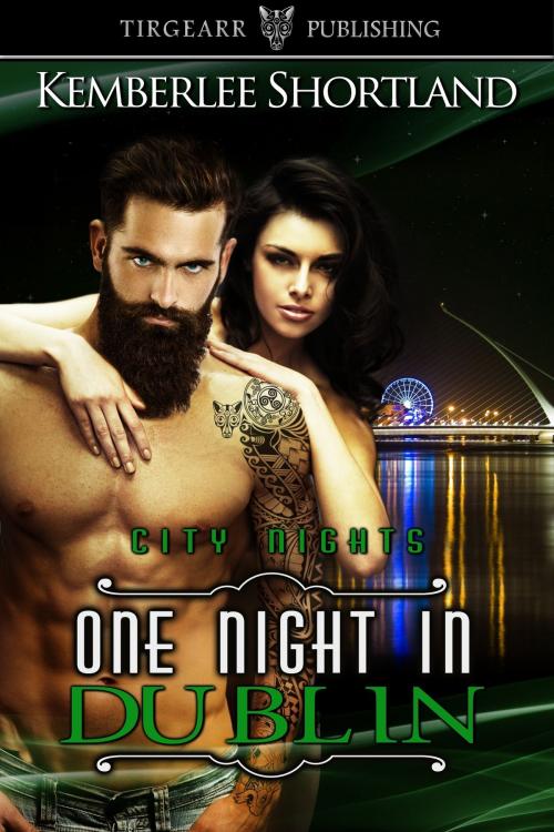 Cover of the book One Night in Dublin by Kemberlee Shortland, Tirgearr Publishing