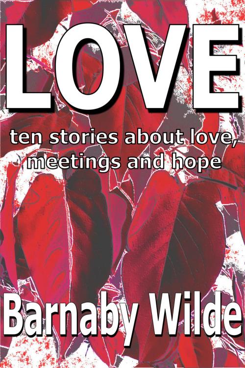 Cover of the book Love by Barnaby Wilde, Barnaby Wilde