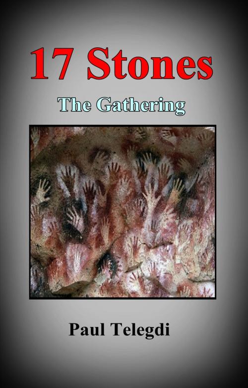 Cover of the book 17 Stones by Paul Telegdi, Paul Telegdi