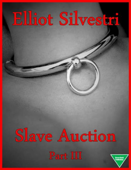 Cover of the book Slave Auction Part III by Elliot Silvestri, Elliot Silvestri