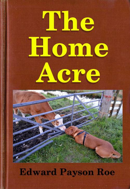 Cover of the book The Home Acre by Midwest Journal Press, Edward Payson Roe, Dr. Robert C. Worstell, Midwest Journal Press