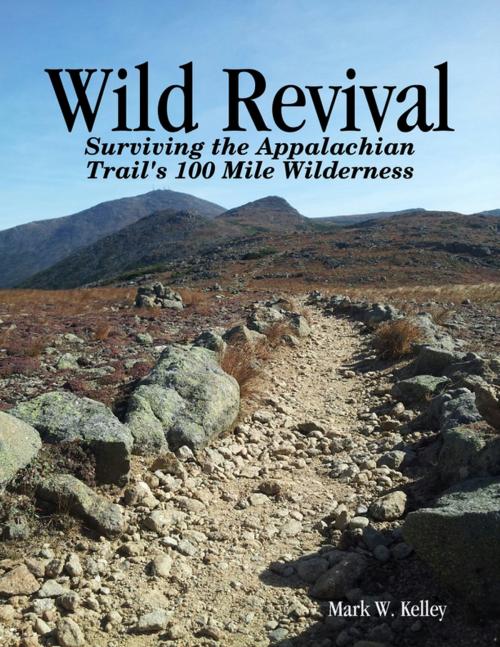 Cover of the book Wild Revival: Surviving the Appalachian Trail's 100 Mile Wilderness by Mark Kelley, Lulu.com