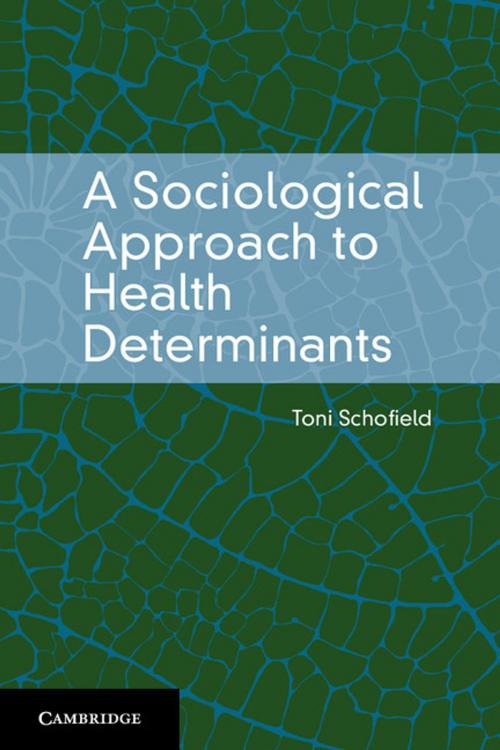 Cover of the book A Sociological Approach to Health Determinants by Toni Schofield, Cambridge University Press