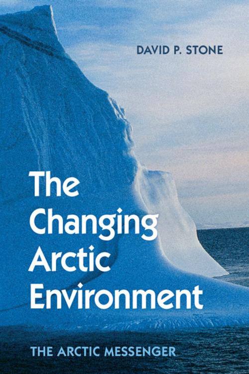 Cover of the book The Changing Arctic Environment by David P. Stone, Cambridge University Press