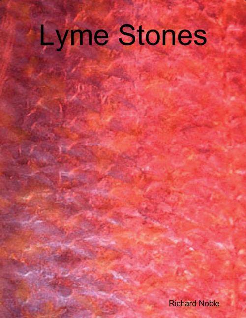 Cover of the book Lyme Stones by Richard Noble, Lulu.com
