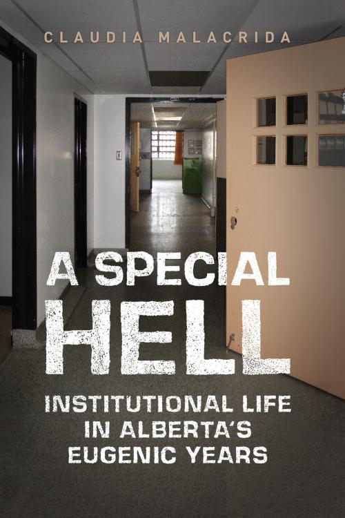 Cover of the book A Special Hell by Claudia Malacrida, University of Toronto Press, Scholarly Publishing Division