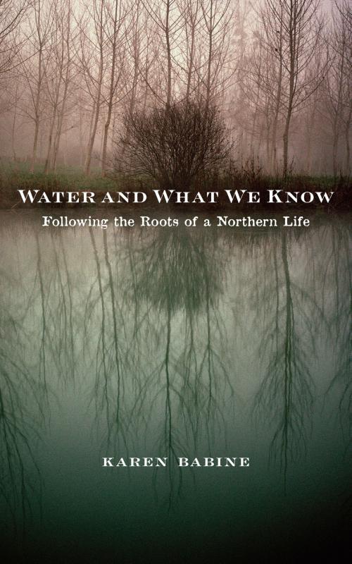 Cover of the book Water and What We Know by Karen Babine, University of Minnesota Press