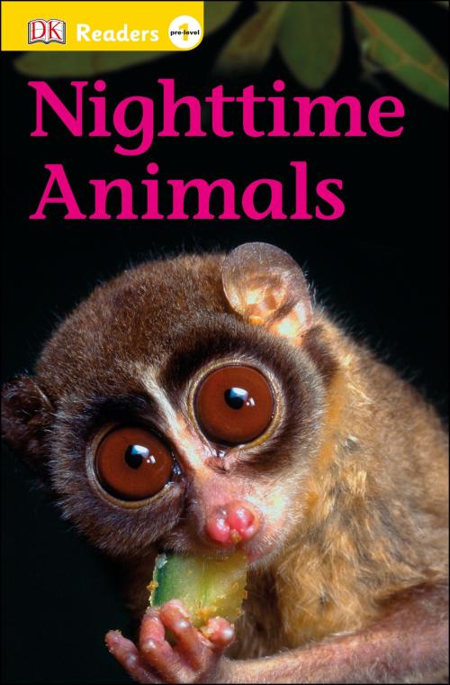Cover of the book DK Readers L0: Nighttime Animals by DK, DK Publishing