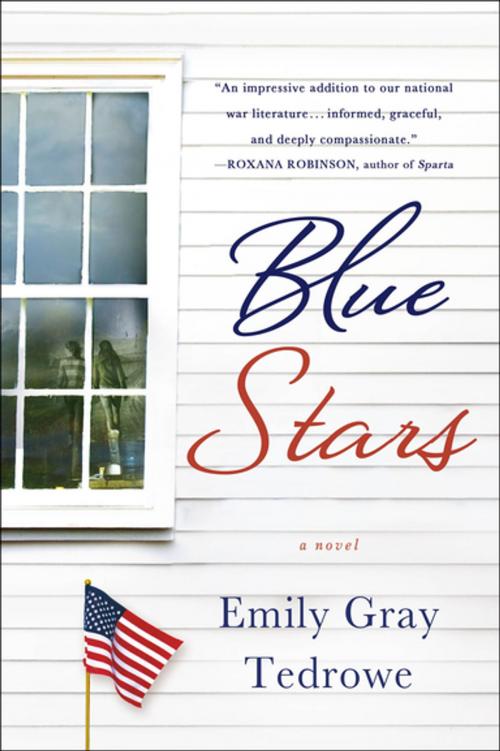 Cover of the book Blue Stars by Emily Gray Tedrowe, St. Martin's Press