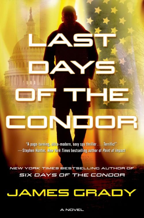 Cover of the book Last Days of the Condor by James Grady, Tom Doherty Associates