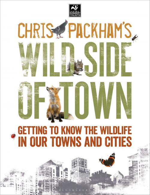 Cover of the book Chris Packham's Wild Side Of Town by Chris Packham, Bloomsbury Publishing