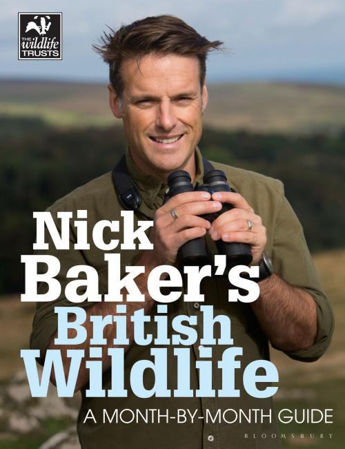 Cover of the book Nick Baker's British Wildlife by Nick Baker, Bloomsbury Publishing