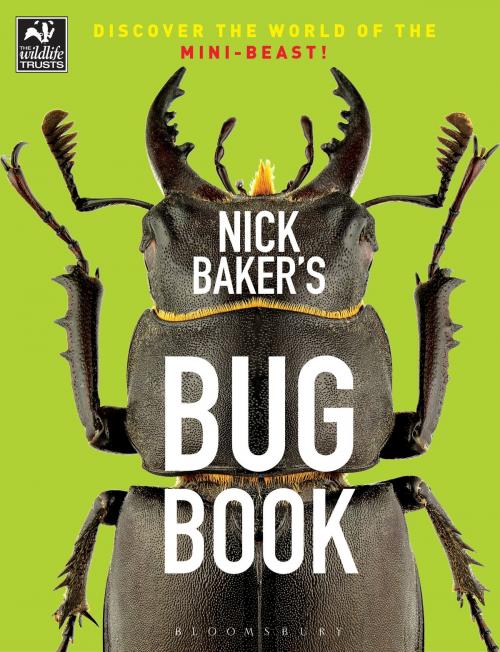 Cover of the book Nick Baker's Bug Book by Nick Baker, Bloomsbury Publishing