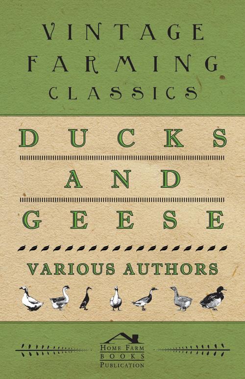 Cover of the book Ducks and Geese by Harry M. Lamon, Read Books Ltd.