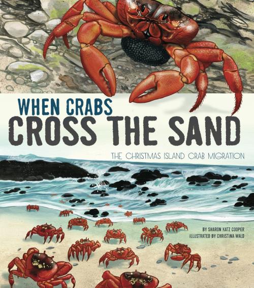 Cover of the book When Crabs Cross the Sand by Sharon Katz Cooper, Capstone