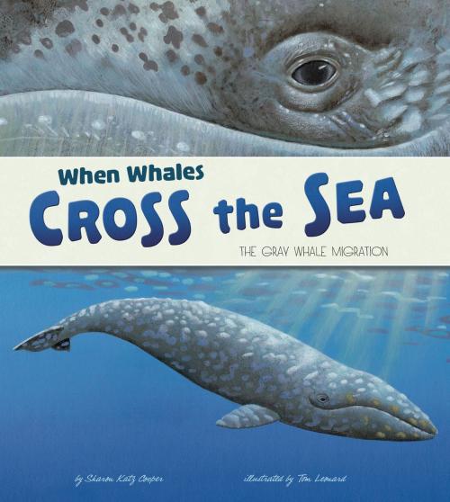 Cover of the book When Whales Cross the Sea by Sharon Katz Cooper, Capstone