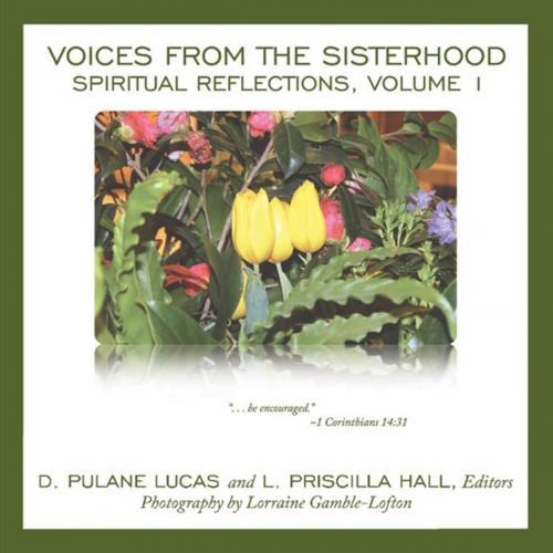 Cover of the book Voices from the Sisterhood by D. Pulane Lucas, Archway Publishing