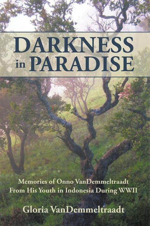 Cover of the book Darkness in Paradise by Gloria VanDemmeltraadt, Archway Publishing