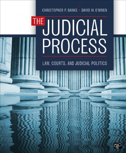Cover of the book The Judicial Process by Christopher P. Banks, David M. O'Brien, SAGE Publications