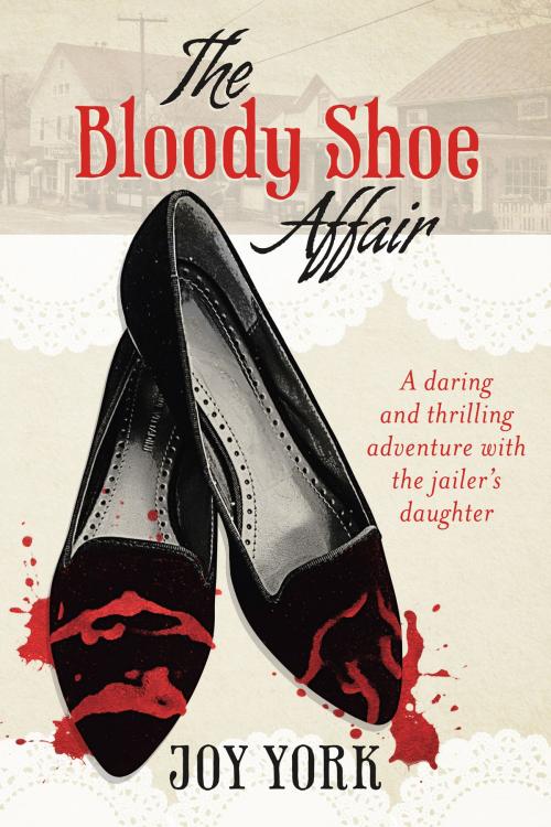 Cover of the book The Bloody Shoe Affair by Joy York, BookBaby