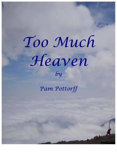 Cover of the book Too Much Heaven by Pam Pottorff, BookBaby