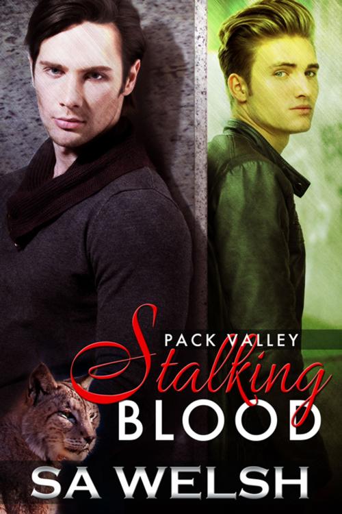 Cover of the book Stalking Blood by SA Welsh, eXtasy Books Inc