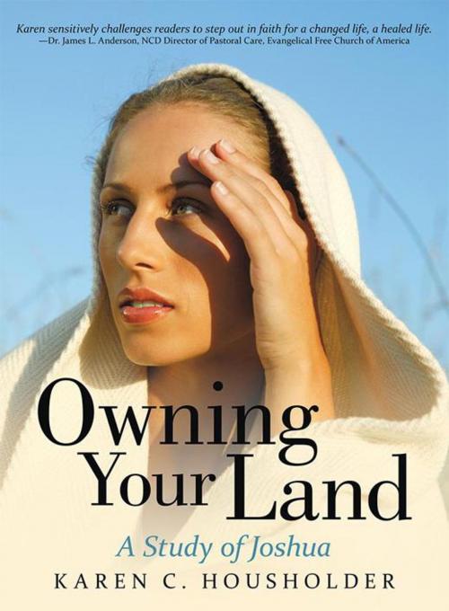 Cover of the book Owning Your Land by Karen C. Housholder, LifeRich Publishing