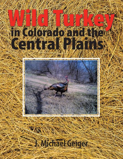 Cover of the book Wild Turkey in Colorado and the Central Plains by J. Michael Geiger, Trafford Publishing