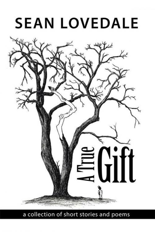 Cover of the book A True Gift by Sean Lovedale, WestBow Press
