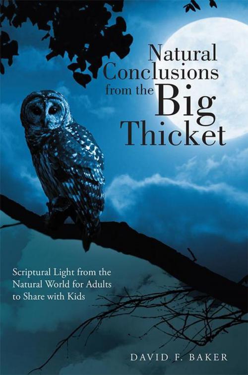 Cover of the book Natural Conclusions from the Big Thicket by David F. Baker, WestBow Press