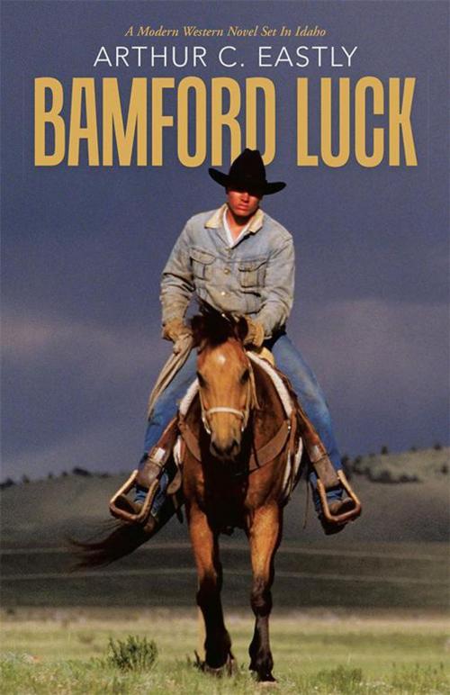 Cover of the book Bamford Luck by Arthur C. Eastly, iUniverse