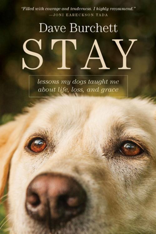 Cover of the book Stay by Dave Burchett, Tyndale House Publishers, Inc.