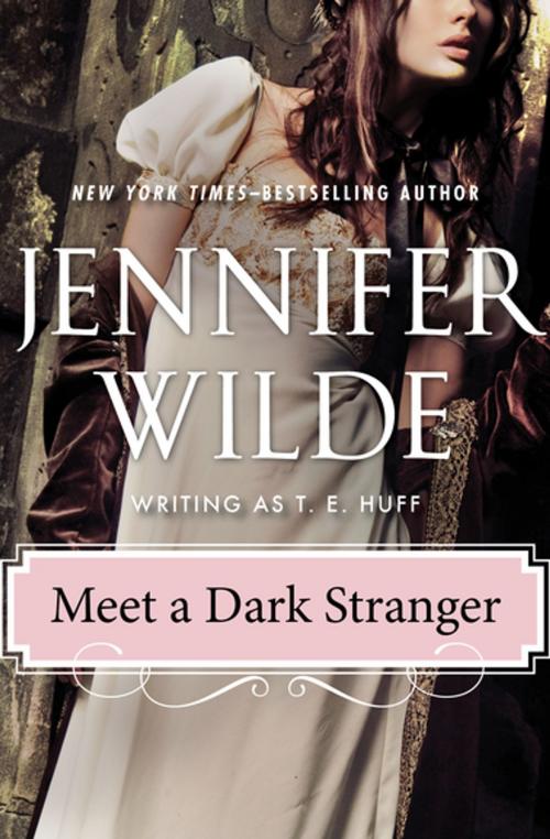 Cover of the book Meet a Dark Stranger by Jennifer Wilde, Open Road Media