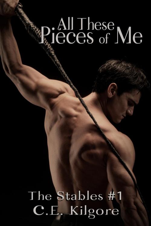 Cover of the book All These Pieces of Me by C.E. Kilgore, Tracing The Stars