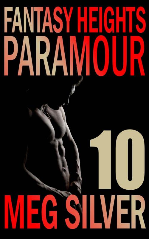 Cover of the book Paramour by Meg Silver, Meg Silver