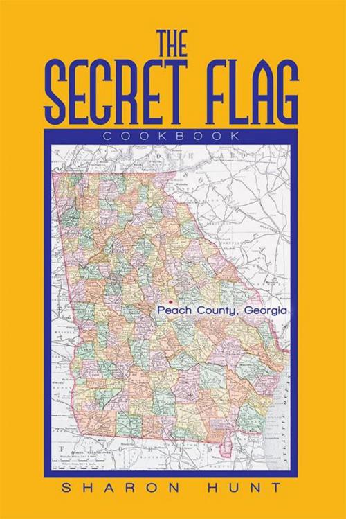 Cover of the book The Secret Flag by Sharon Hunt, Xlibris US