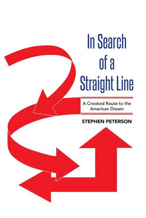 Cover of the book In Search of a Straight Line by Stephen Peterson, Xlibris US