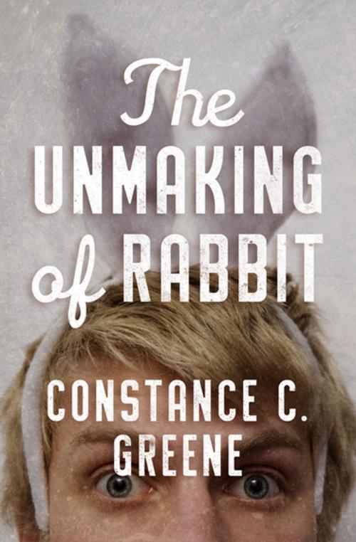Cover of the book The Unmaking of Rabbit by Constance C. Greene, Open Road Media