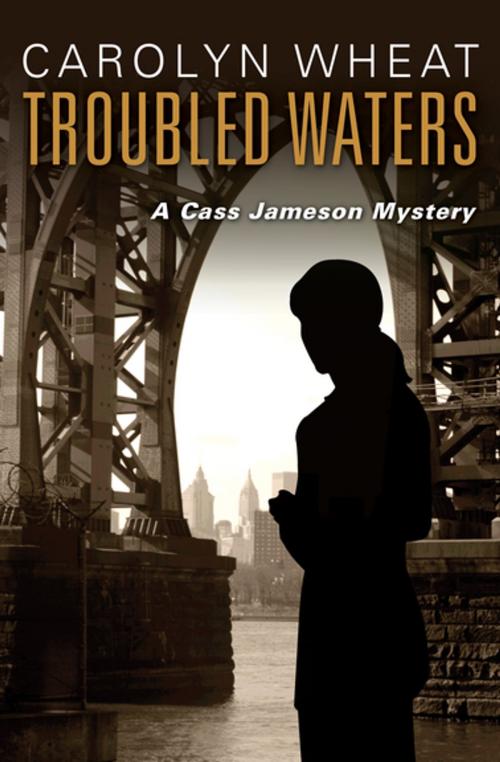 Cover of the book Troubled Waters by Carolyn Wheat, Open Road Media