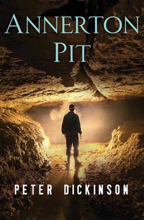 Cover of the book Annerton Pit by Peter Dickinson, Open Road Media
