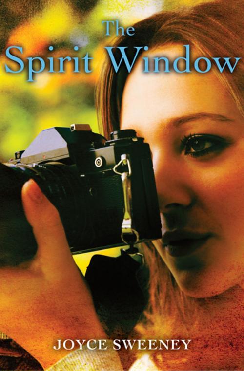 Cover of the book The Spirit Window by Joyce Sweeney, Open Road Media